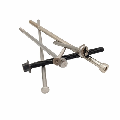 Screw à longue vis pour moteur à boulon étendu à l'intérieur de la fleur de prune