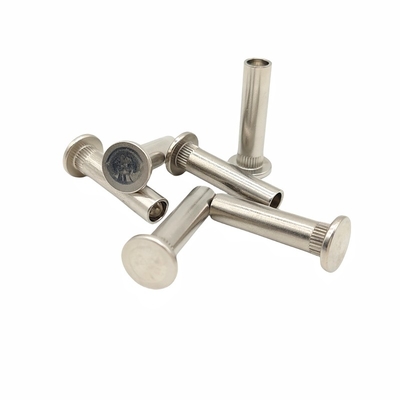Conception à demi creux Tête plate ronde Rivet à demi creux L'outil de nettoyage parfait