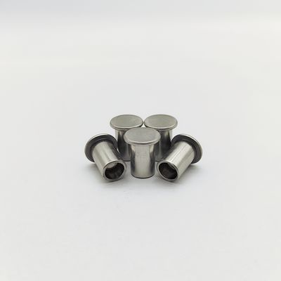 Rivets semi-tubulaires à tête plate en acier inoxydable 316L ISO 15977