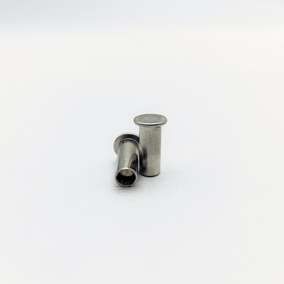316 Rivets en acier inoxydable M5-M12 Tête plate 40% creux