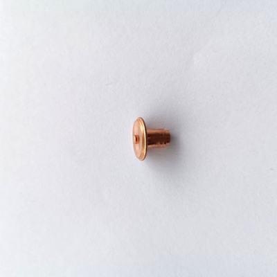Titre froid de tête de rivet rond d'acier inoxydable pour des véhicules de New Energy