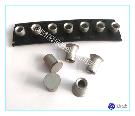 Sablage pénétrant du rivet 5.3x4mm 5.3x5mm 5.3x6mm d'acier inoxydable d'individu