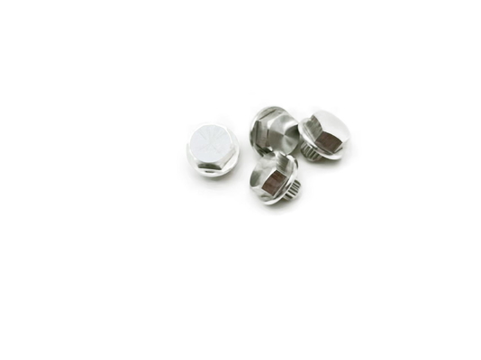 Rivets de l'acier inoxydable HEX12.5x12.3 316, rivets décoratifs de vis de norme de JIS