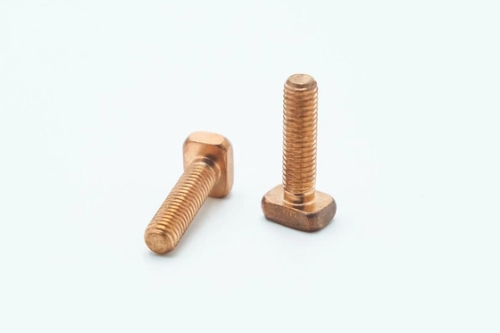 La tête carrée T a formé le poids 17.59g matériel de l'acier C1022 de la vis M8x30mm
