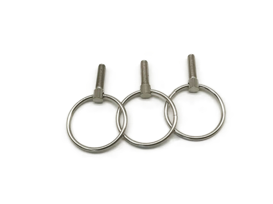 C1008 attache non standard, petites vis d'oeil de l'acier inoxydable M6x16