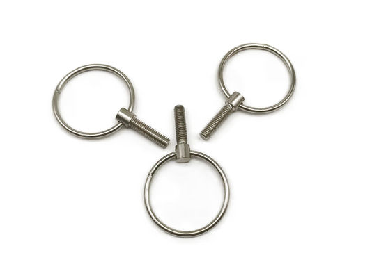 C1008 attache non standard, petites vis d'oeil de l'acier inoxydable M6x16