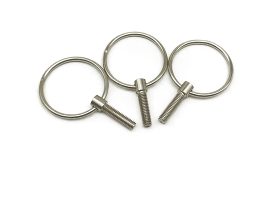 C1008 attache non standard, petites vis d'oeil de l'acier inoxydable M6x16
