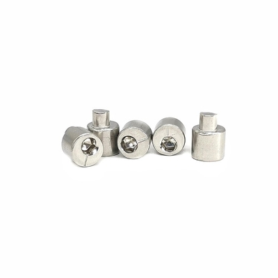 La vis arrière 4.9X10.5 d'Axle Eccentric Adjusting Stainless Steel a poli SUS304