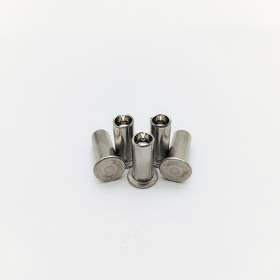 316 Rivets en acier inoxydable M5-M12 Tête plate 40% creux