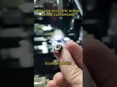 La vis d'approche A2-70 excentrique 8.38g pèsent le matériel SS304 pour des garnitures de fenêtre et de porte