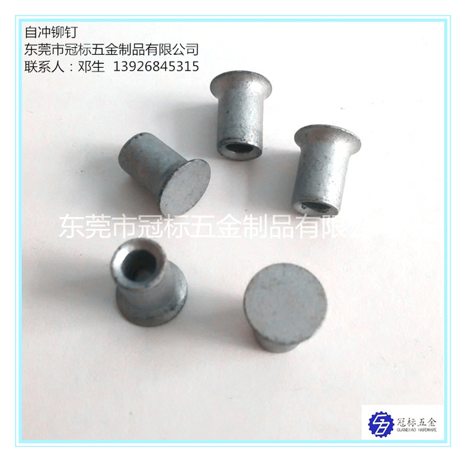 L'auto-perforation de haute résistance rivette des rivets d'auto-perforation de rivets d'auto-perforation